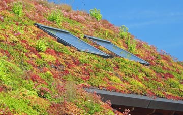 Millendreath living roof systems